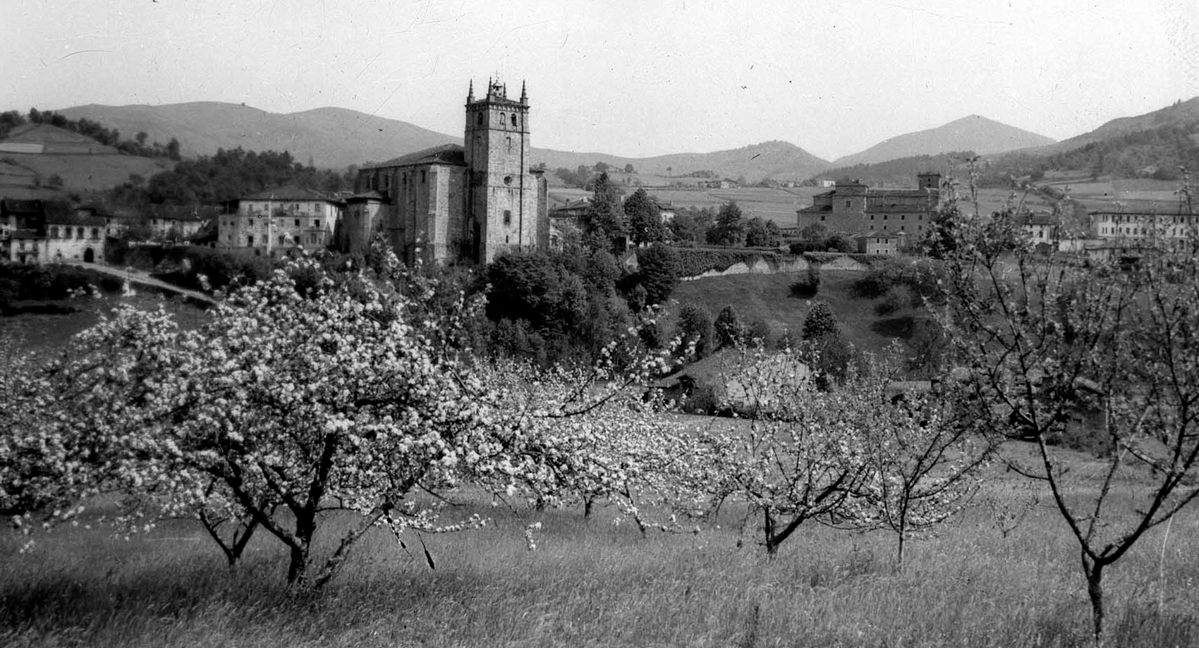Segura 1955